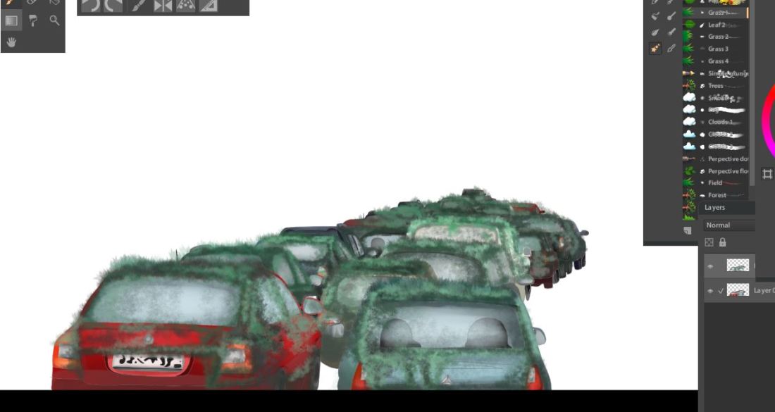 car grass.JPG