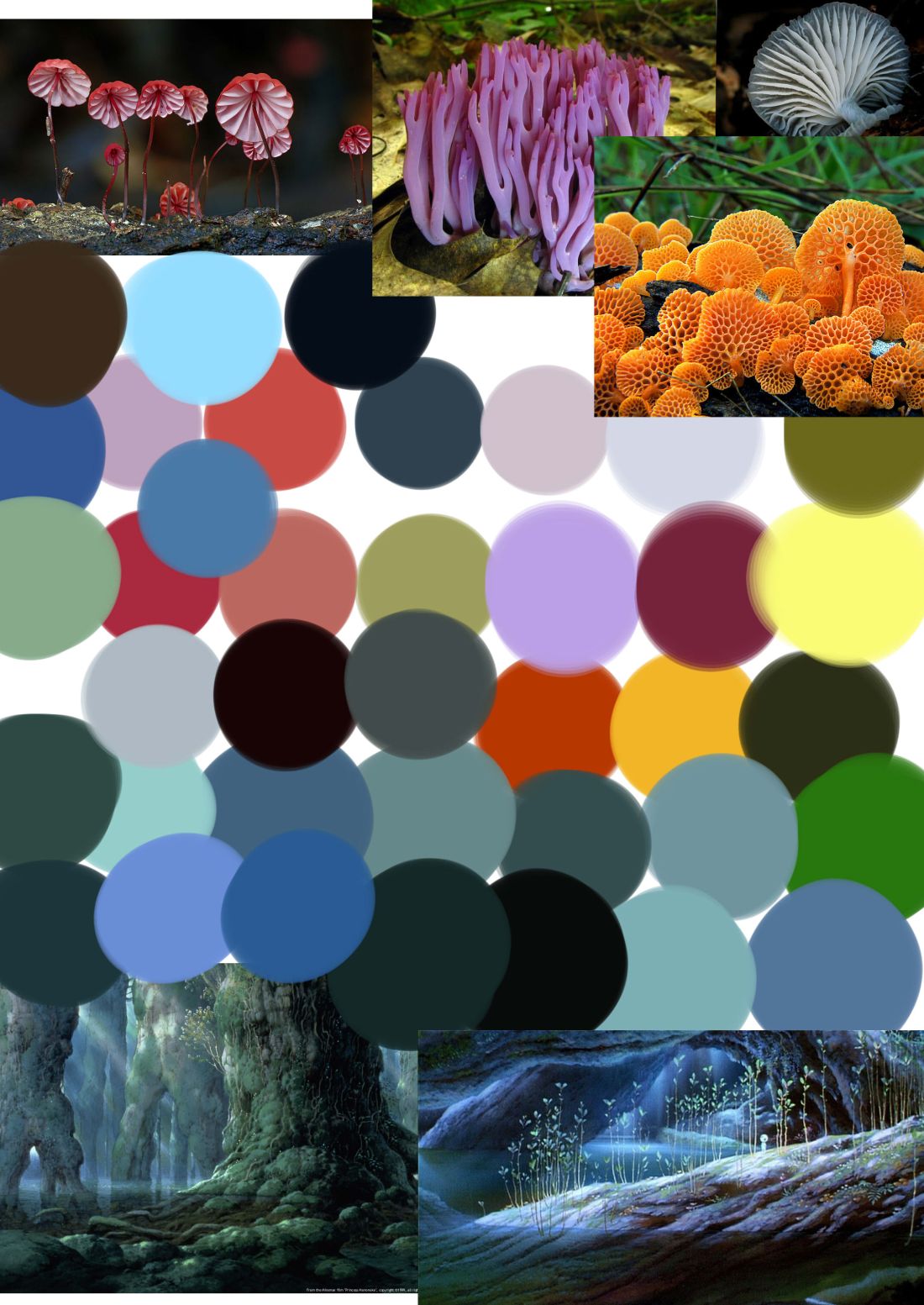 colour chart.jpg